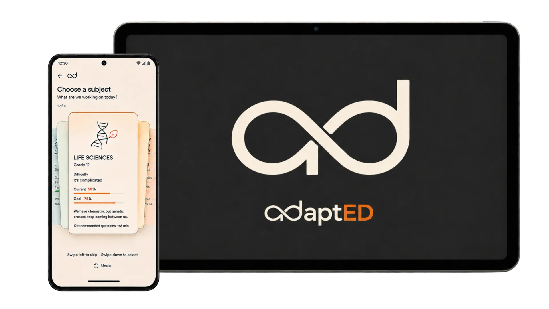 How the adaptED learning companion guides a learner through the CAPS curriculum